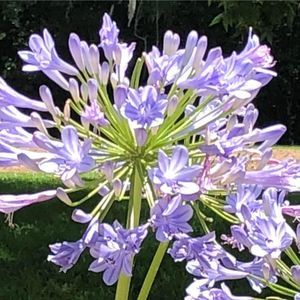 Meet your Posher, Maureen